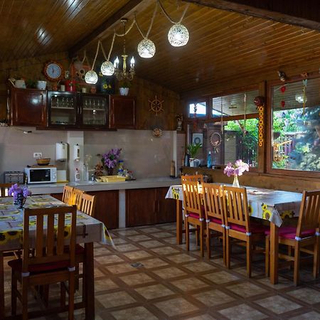 Отель Casa Karol Вама-Веке Экстерьер фото